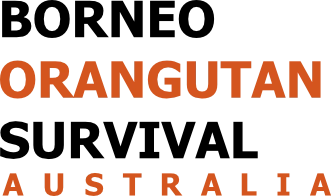 Borneo Orangutan Survival Australia
